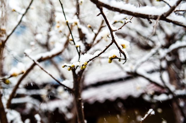 提醒